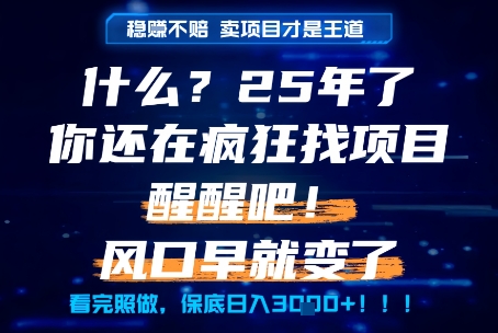 什么？25年你还在疯狂找项目做，醒醒吧，看完这些你全都懂了！【揭秘】-云创项目库