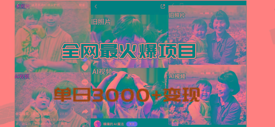 全网爆火的AI让老照片动起来教程，蹭热点日赚3000+，内含免费工具一键…-云创项目库