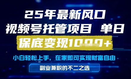 25年最新风口，视频号托管项目，单日保底变现1k+，手把手教学【揭秘】-云创项目库