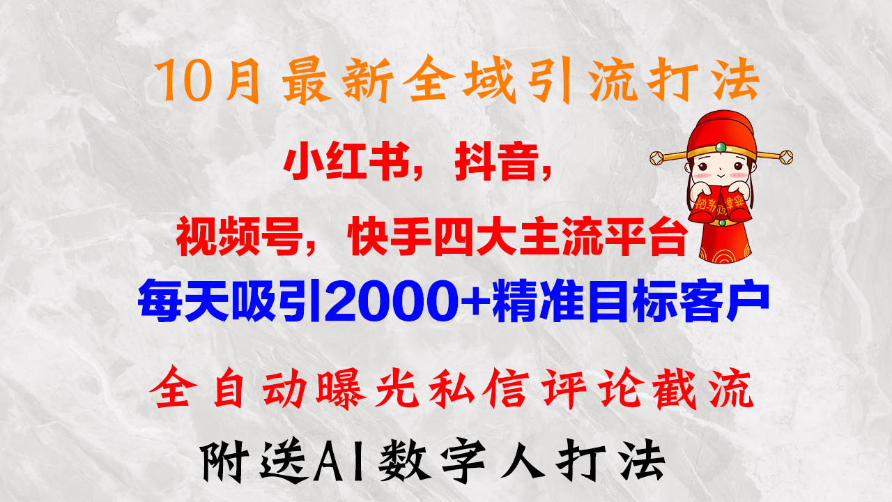 10月最新小红书，抖音，视频号，快手四大平台全域引流，，每天吸引2000…-云创项目库