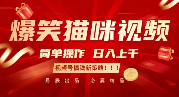 爆笑猫咪视频：简单操作，日入过K，视频号搞钱新策略【揭秘】-云创项目库