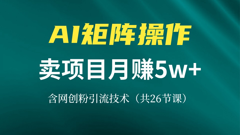 网创IP打造课，借助AI卖项目月赚5万+，含引流技术(共26节课-云创项目库