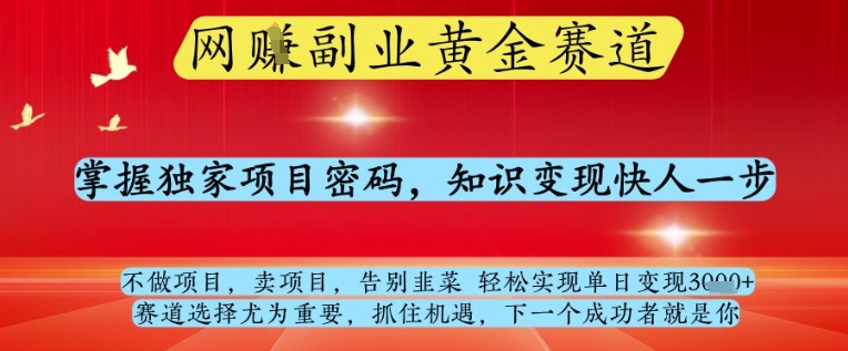 网创副业黄全赛道，掌握独家项目密码，知识变现快人一步，告别韭菜轻松实现单日变现1k+【揭秘】-云创项目库