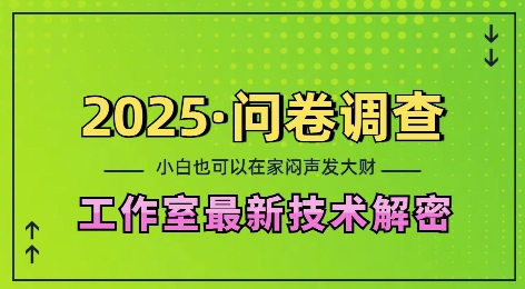 2025问卷调查最新工作室技术解密：一个人在家也可以闷声发大财，小白一天2张，可矩阵放大【揭秘】-云创项目库