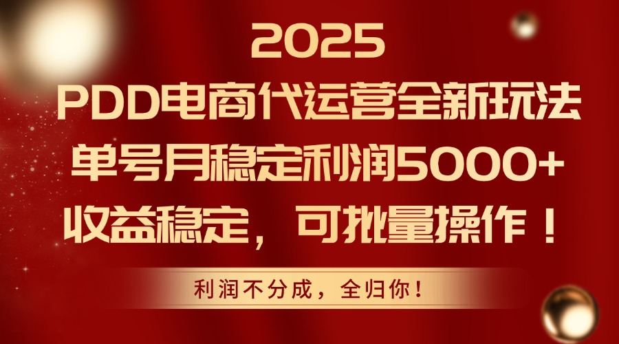 2025PDD电商代运营全新玩法，单号月稳定利润5000+，收益稳定，可批量操作-云创项目库