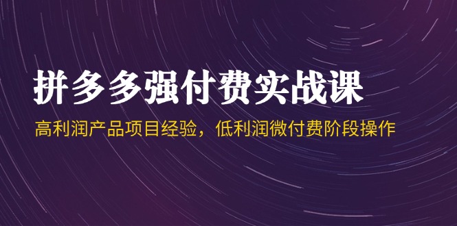 拼多多强付费实战课-44期，高利润产品项目经验，低利润微付费阶段操作-云创项目库