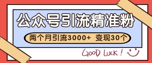 公众号精准粉引流玩法，2个月3000+精准粉，变现30个W【揭秘】-云创项目库