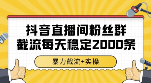 抖音直播间粉丝群暴力截流，一台电脑每天稳定2000条数据，暴力截流+实操 【揭秘】-云创项目库