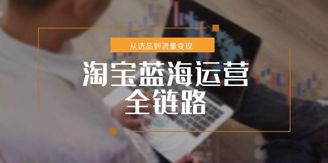 淘宝蓝海运营全链路，从选品到流量变现，小类目突围完整方案-云创项目库