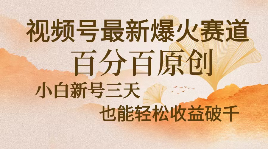 视频号最新爆火赛道，中老年粉深信不疑，百分百原创，新号三天收益轻松…-云创项目库
