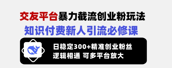 交友平台暴力截流创业粉玩法，知识付费新人引流必修课，日稳定300+精准创业粉丝，逻辑相通可多平台放大-云创项目库