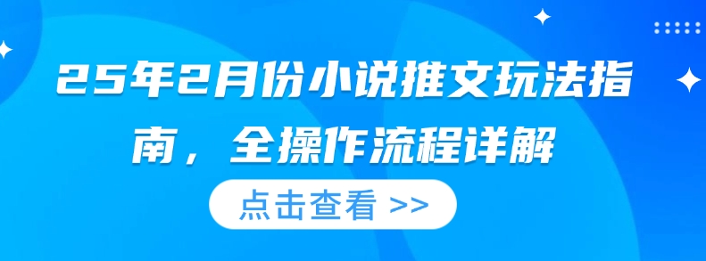 25年2月份小说推文玩法指南，全操作流程详解-云创项目库
