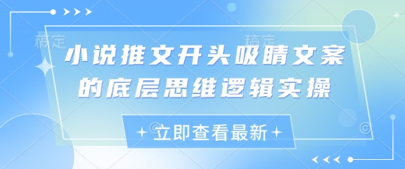 小说推文开头吸睛文案的底层思维逻辑实操-云创项目库
