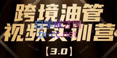 阿蔺Leo·跨境油管视频YouTube实训营(更新2025)-云创项目库