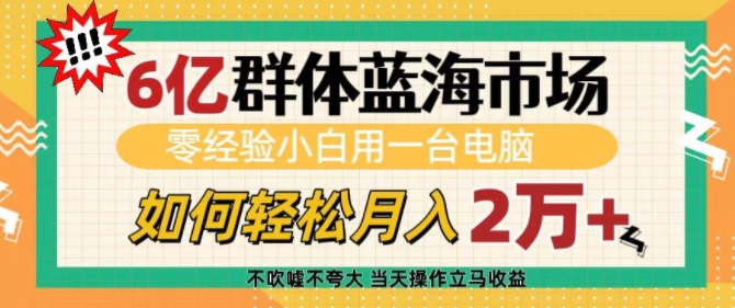 6亿群体蓝海市场，零经验小白用一台电脑，如何轻松月入过w【揭秘】-云创项目库