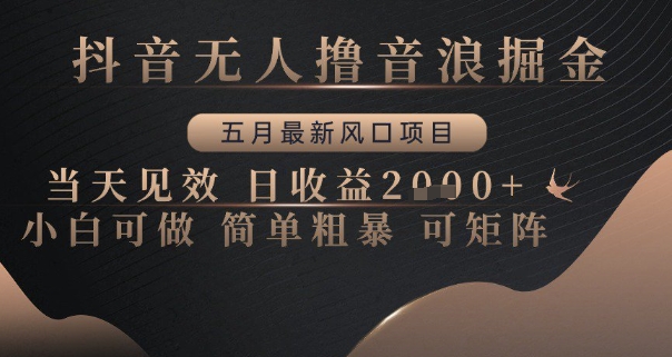 抖音无人撸音浪掘金，五月最新风口项目，当天见效，日收益多张，小白可做简单粗暴可矩阵【揭秘】-云创项目库