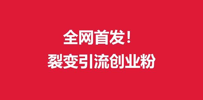 (全网首发)外面收费几千的裂变引流高质量创业粉-云创项目库