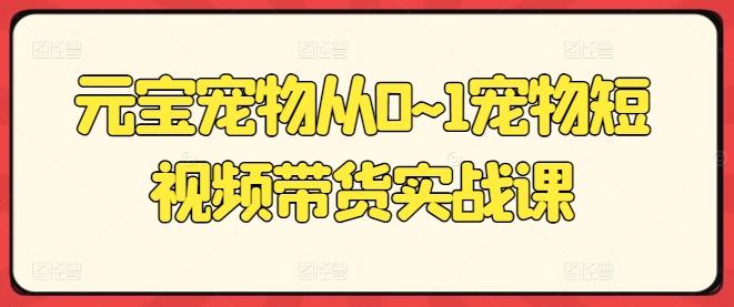 元宝宠物从0~1宠物短视频带货实战课-云创项目库