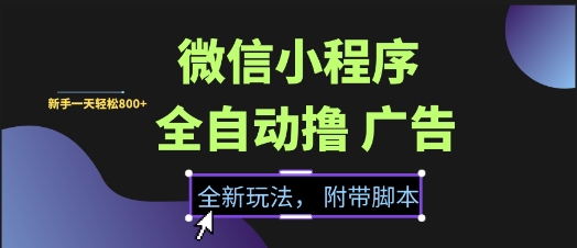 微信小程序全自动撸广告项目，彻底解决没流量的问题，新手一天8张+【揭秘】-云创项目库