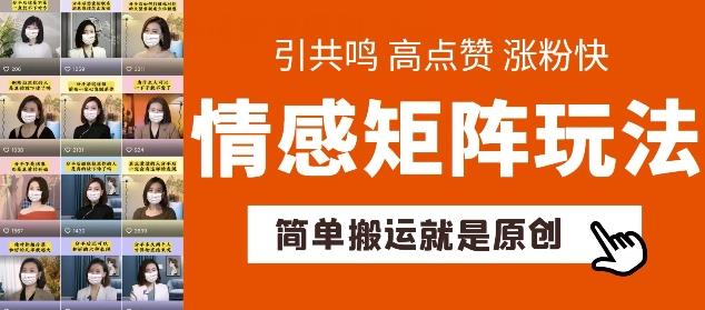 简单搬运，情感矩阵玩法，涨粉速度快，可带货，可起号【揭秘】-云创项目库