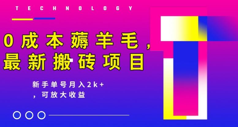 0成本薅羊毛，最新搬砖项目，新手单号月入2k+，可放大操作-云创项目库