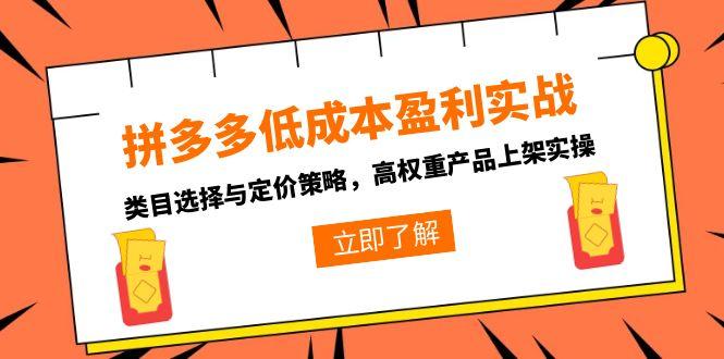拼多多低成本盈利实战，类目选择与定价策略，高权重产品上架实操-云创项目库