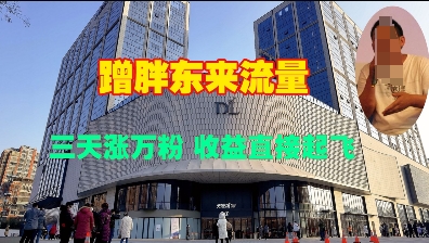 蹭胖东来流量，三天涨万粉，收益直接起飞-云创项目库