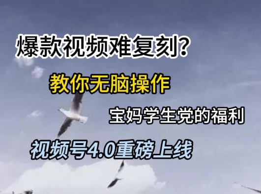 视频号4.0重磅上线，爆款视频难复刻？教你无脑操作宝妈学生党的福利【揭秘】-云创项目库