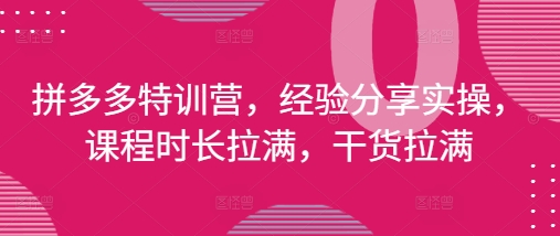 拼多多特训营，经验分享实操，课程时长拉满，干货拉满(更新25年4月)-云创项目库