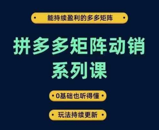 拼多多矩阵动销系列课，能持续盈利的多多矩阵，0基础也听得懂，玩法持续更新-云创项目库