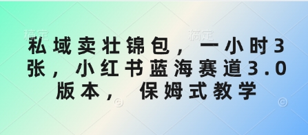 私域卖壮锦包，一小时3张，小红书蓝海赛道3.0版本， 保姆式教学-云创项目库