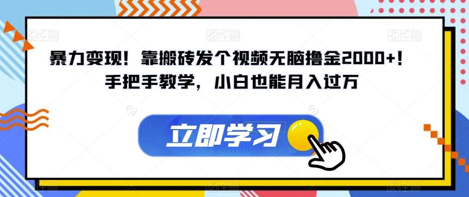 暴力变现！靠搬砖发个视频无脑撸金2000+！手把手教学，小白也能月入过万【揭秘】-云创项目库