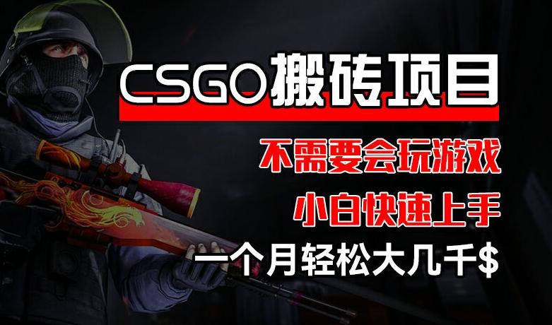 CSGO 装备搬砖项目，操作简单，不需要会玩游戏，小白也能快速上手，一个月轻松大几千【揭秘】-云创项目库