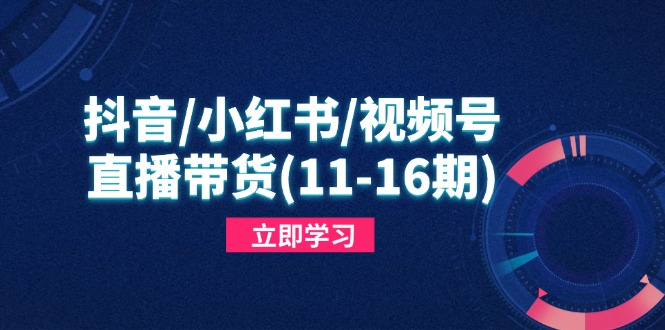 抖音/小红书/视频号/直播带货(11-16期-云创项目库