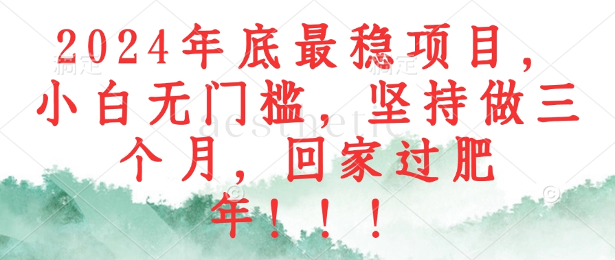 2024年底最稳项目，小白无门槛，坚持做三个月，回家过肥年！！！-云创项目库