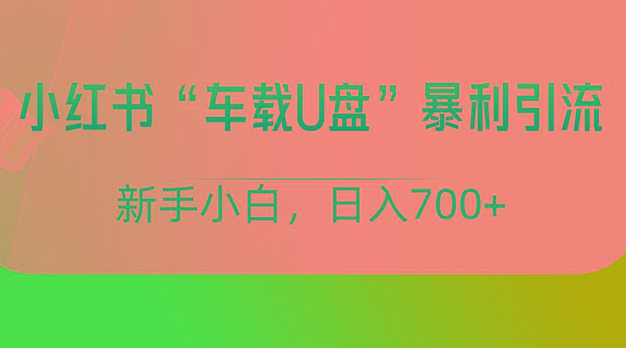 小红书“车载U盘”项目，暴利引流，新手小白轻松日入700+-云创项目库