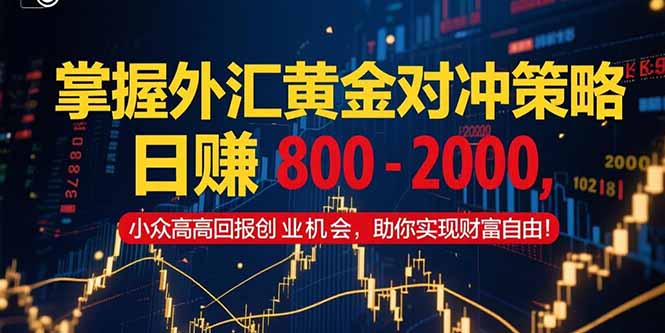 掌握外汇黄金对冲策略，日赚 800 – 2000，小众高回报创业机会，助你实…-云创项目库