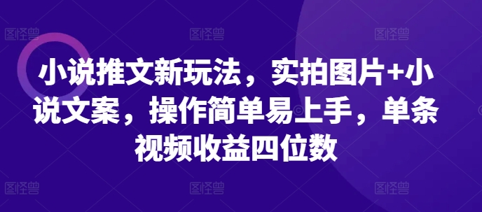 小说推文新玩法，实拍图片+小说文案，操作简单易上手，单条视频收益四位数-云创项目库