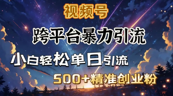 跨平台暴力引流，私域完美闭环，日引500+精准创业粉-云创项目库