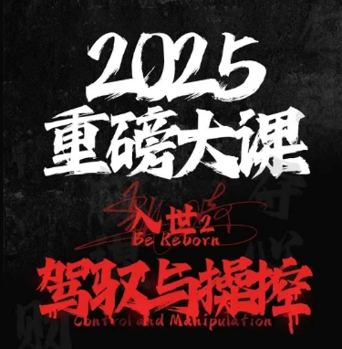2025重磅大课，入世2，驾驭与控制-云创项目库