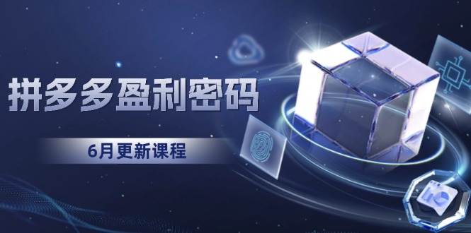拼多多盈利密码：从烧钱推广到印钞模型，底层逻辑重构指南(6月更新-云创项目库