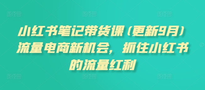 小红书笔记带货课(更新25年5月)流量电商新机会，抓住小红书的流量红利-云创项目库