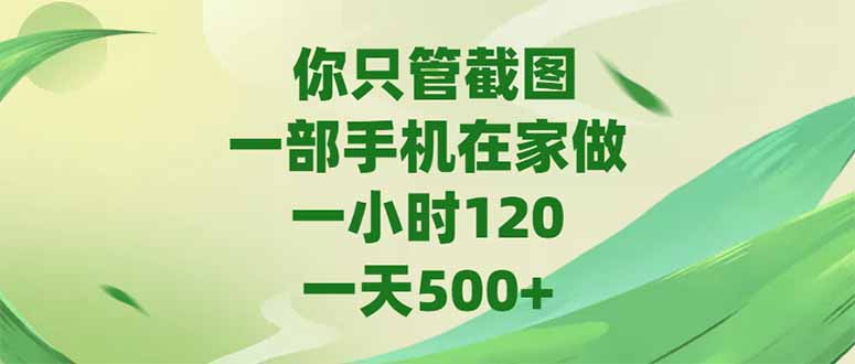 你只管截图，一部手机在家做，一小时120，-天500+-云创项目库