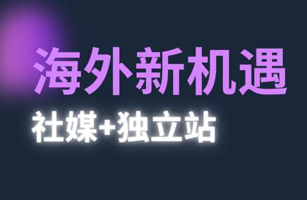 棕榈·2025出海新机遇(社媒+独立站)-云创项目库