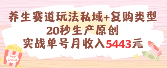 养生赛道玩法私域+复购类型，20秒生产原创实战单号月收入5k+-云创项目库