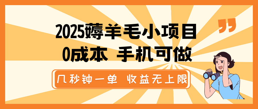 2025薅羊毛小项目，0成本 手机可做，几秒钟一单，收益无上限-云创项目库
