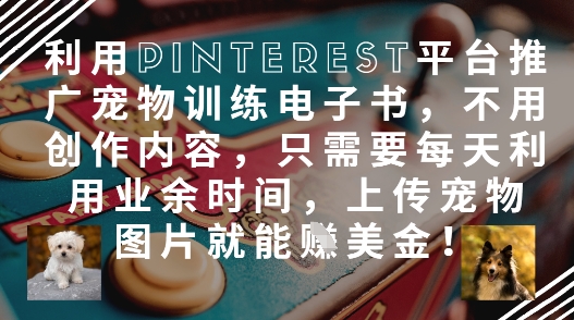 利用Pinterest平台推广宠物训练电子书，不用创作内容，只需要每天利用业余时间，上传宠物图片就能挣美金!-云创项目库