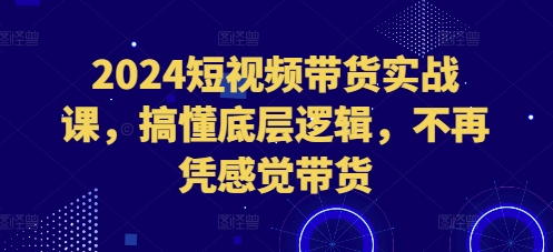 2024短视频带货实战课，搞懂底层逻辑，不再凭感觉带货-云创项目库
