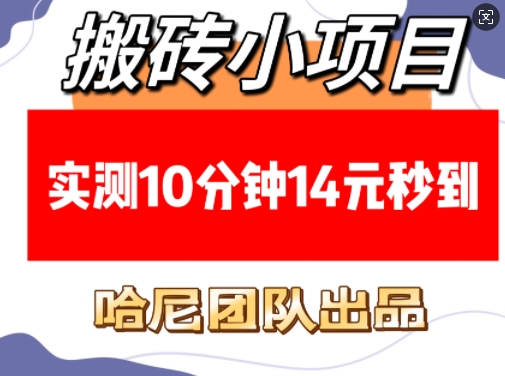 搬砖小项目，实测10分钟14元秒到，每天稳定几张(赠送必看稳定)-云创项目库