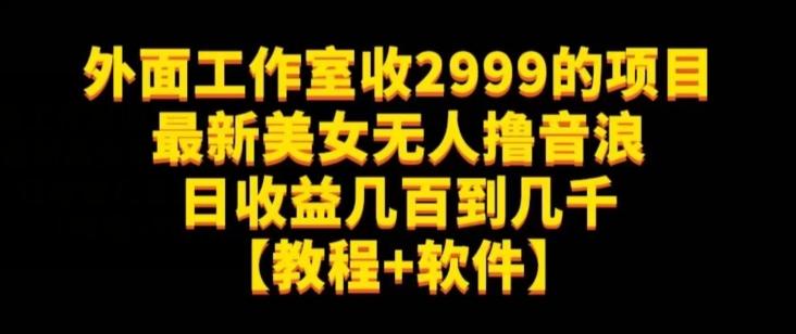 外面工作室收2999的项目最新美女无人撸音浪日收益几百到几千【教程+软件】（仅揭秘）-云创项目库